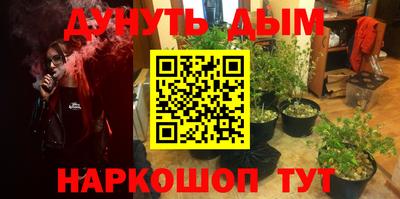 амф Обь